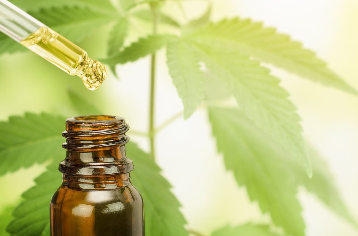 CBD Kush Assurance: Laboratory-Tested Medicinal Marijuana Services